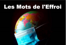 Voyage au pays des Mots Citations, extraits, passages, fragments d’écrivains sur le thème des Mots.